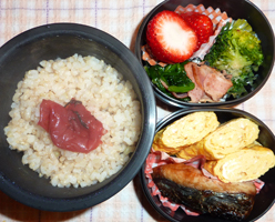 obento