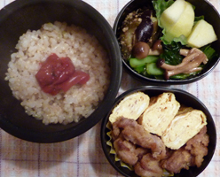 obento