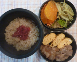 obento