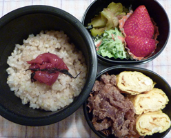 obento