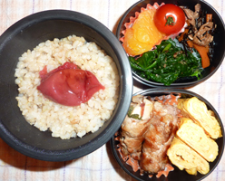 obento