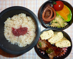 obento