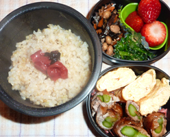 obento