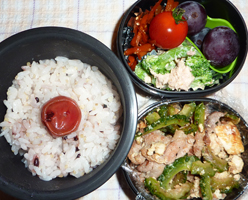 obento
