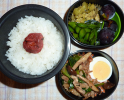 obento