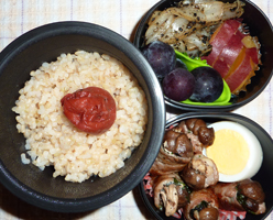 obento