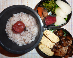 obento
