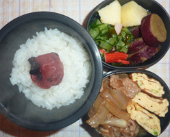 obento
