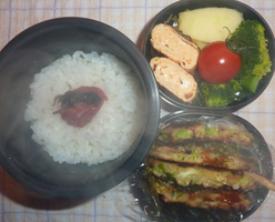 obento