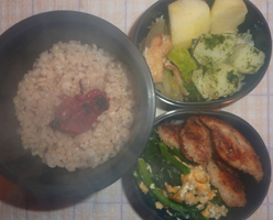 obento