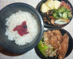 obento