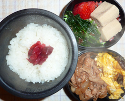 obento