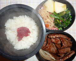 obento