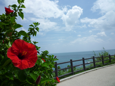 日南海岸