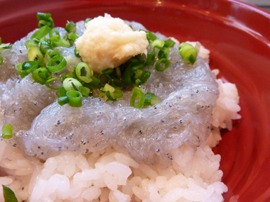 しらす丼