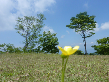 東秩父
