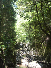 赤目四十八滝