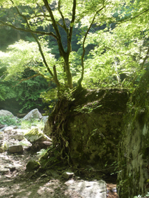 赤目四十八滝