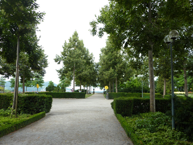 バラ園