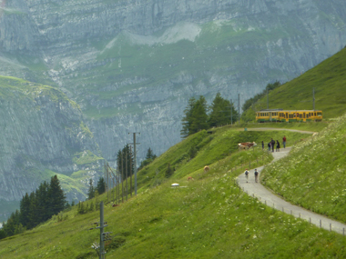 登山鉄道の車窓