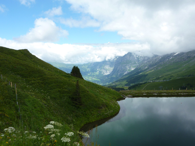 アルプスの山の景色