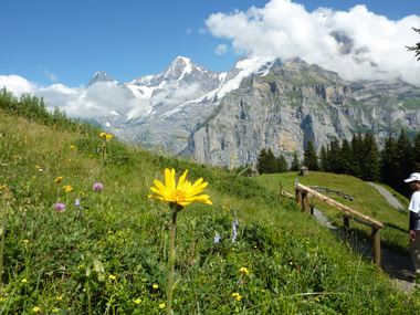 スイスのトレッキング風景