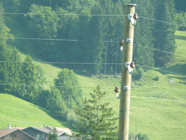 スイスの電柱
