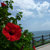 宮崎の旅