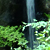 旧富岡製糸場と水めぐり