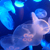 サンシャイン水族館