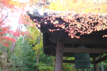 京都の秋